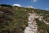 31 Sentiero Rifugio Capanna 2000